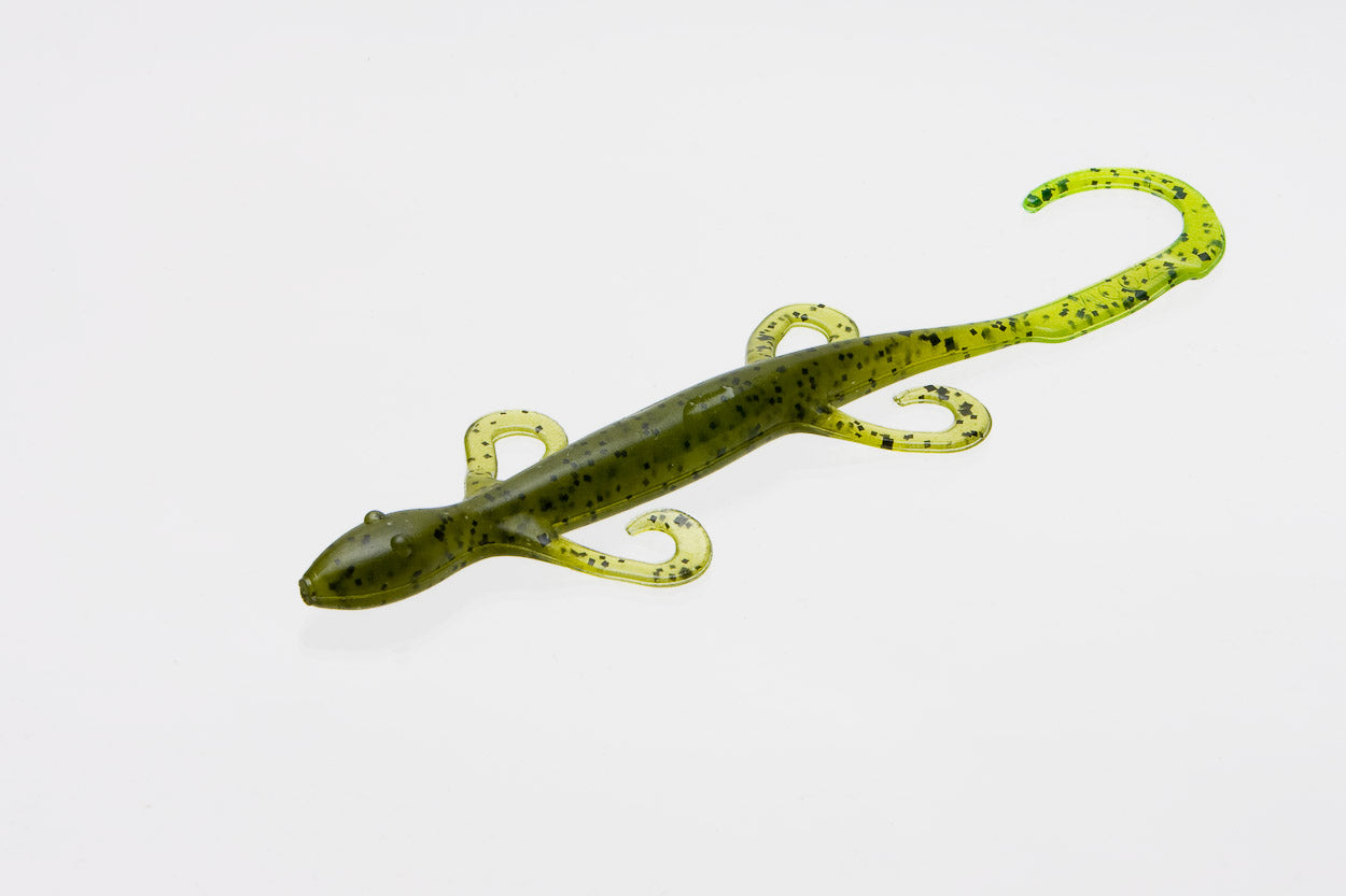 Zoom Lizards