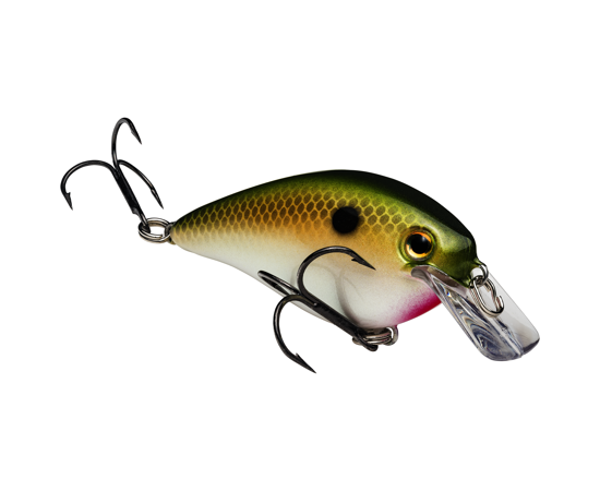 Strike King KVD Squarebill 1.5 Crankbait