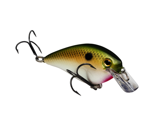 Strike King KVD Squarebill 1.5 Crankbait