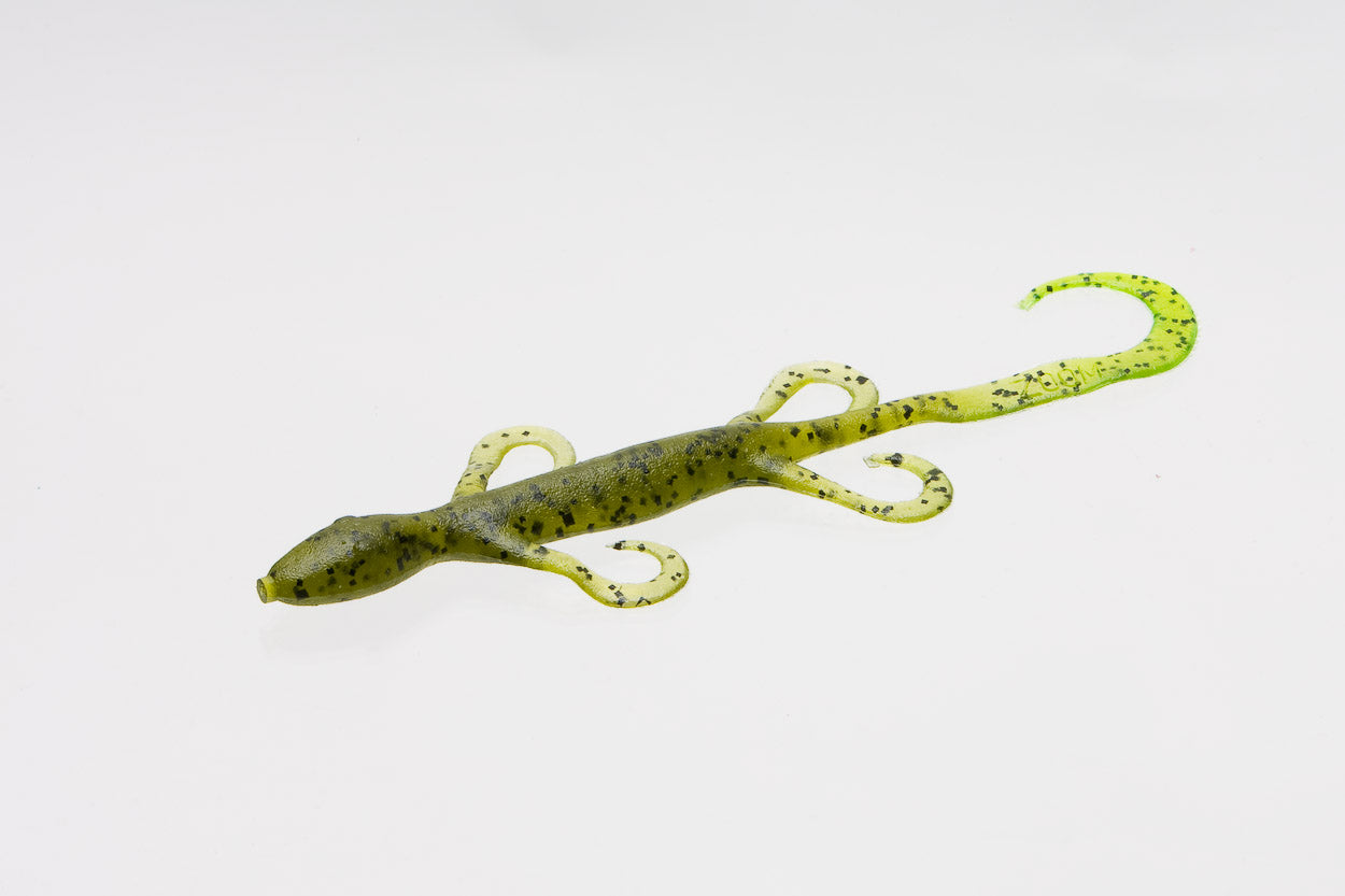 Zoom Lizards