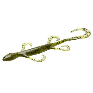 Zoom Lizards